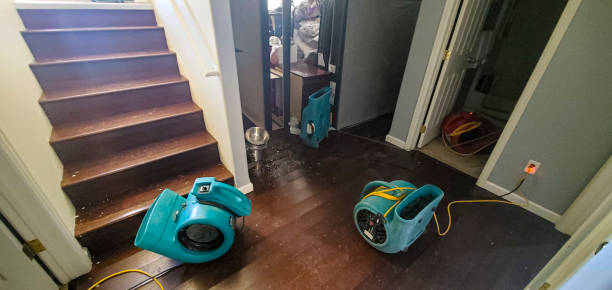 24/7 water damage repair in La Palma, CA