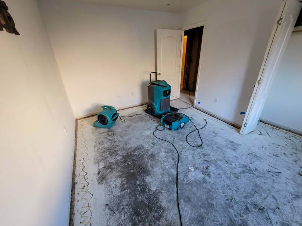 Best Sewage cleanup and water damage restoration  in La Palma, CA
