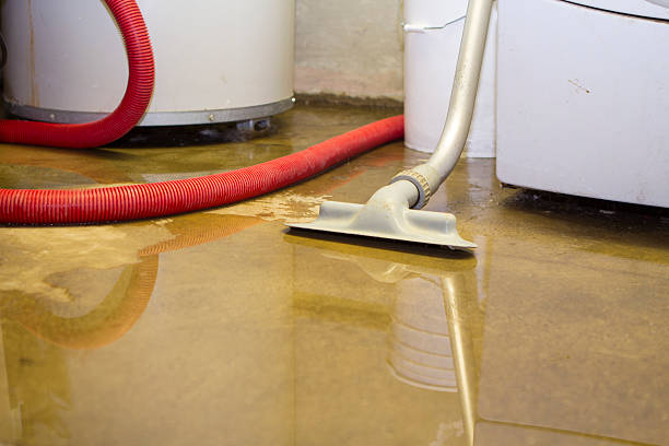 Professional Water damage restoration in La Palma, CA