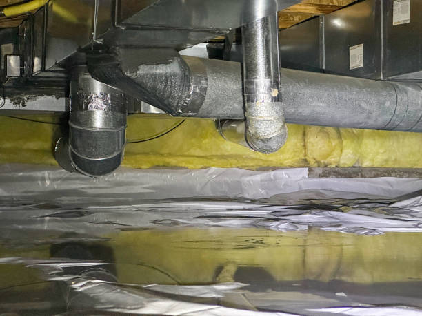 Best Water damage restoration company  in La Palma, CA